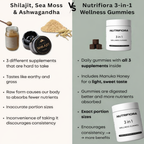 NUTRIFIORA™ 3-in-1 Wellness Gummies